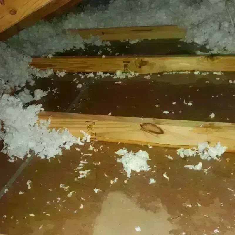 Attic Water Damage in Captain Cook, HI